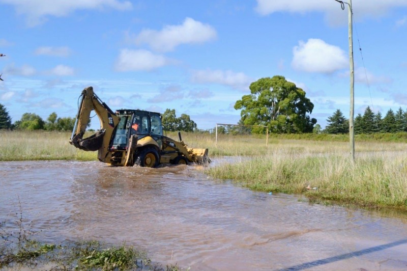 Wesner: �Estamos trabajando para dar respuesta en todos los casos�
